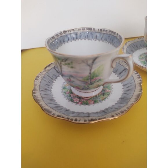 Two Vintage Royal Albert Silver Birch pattern Cup & Saucer Sets - Picture 12 of 15